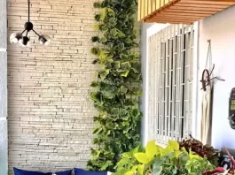 cropped-sacada-urbanjungle-casadebamba101-1.webp