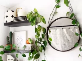 banheiro-branco-plantas