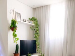 sala-parede-tv-decor-simples-com-plantas-apezinho109