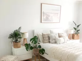 quarto-plantas-tapete-redondo-southcoastrenovations
