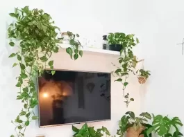 sala-estar-branca-plantas-viviane.home
