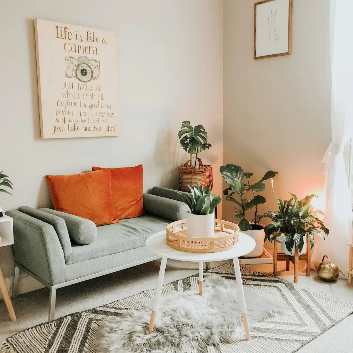 sala-com-plantas-iluminacaoFoto-YehleenGaffney