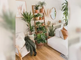 thumb-10-ideias-para-decorar-a-casa-com-plantas