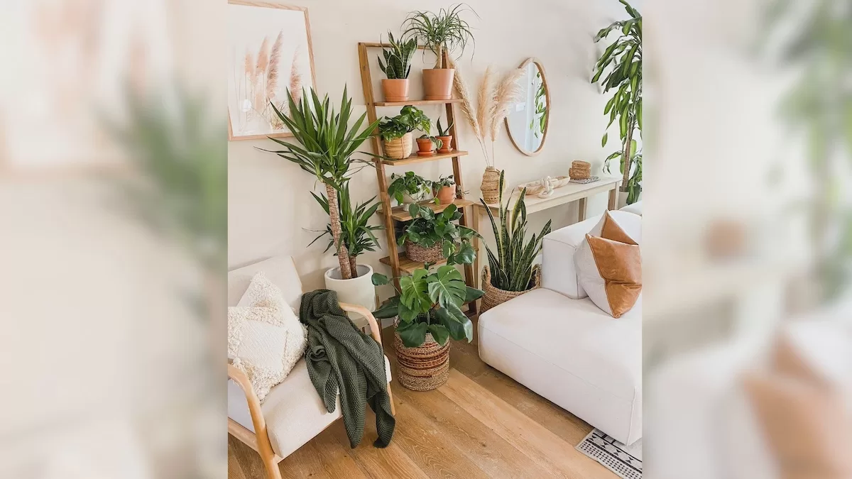 thumb-10-ideias-para-decorar-a-casa-com-plantas