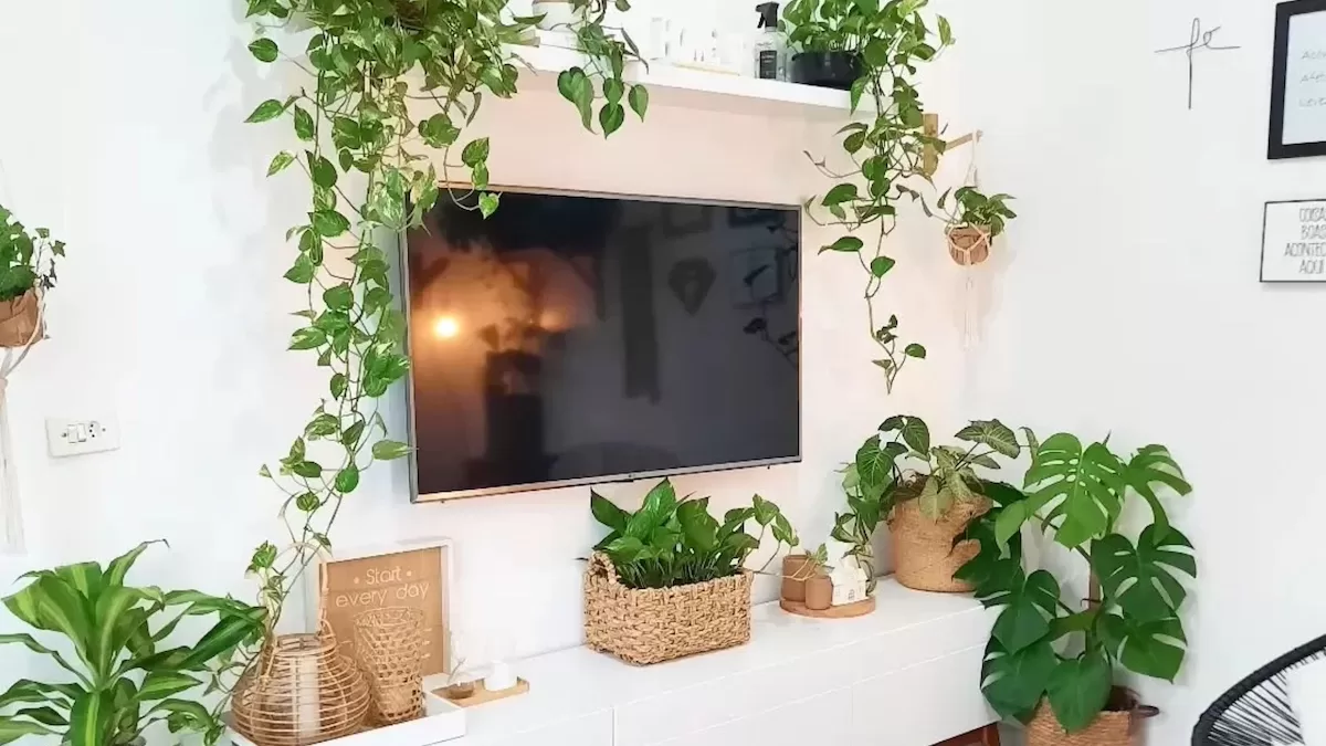 thumb-12-plantas-perfeitas-para-usar-dentro-de-casa